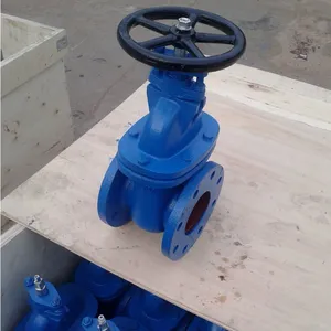 BS Rising Stem Resilient Seat Gate Valve Rubber Lined for Potable Water thumbnail-2