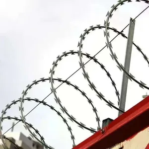 Wholesale Hot Dip Galvanized Razor Barbed Wire Coils for Farm and Border Fence thumbnail-1
