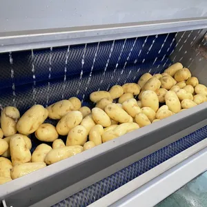 Industrial Vegetable Multi Function Brush Roller Electric Washing Equipment Cassava Ginger Washer Potato Peeling Machine thumbnail-4