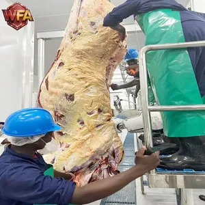 WFA Turnkey Cattle Abattoir Project Full Automatic Cattle Slaughter Line & Processing Equipment thumbnail-3