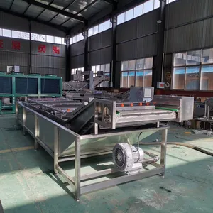 Fully Automatic Large-scale Stainless Steel Bubble Cleaning Machine for Fruits and Vegetables, a Device for Bubble Cleaning, Mud and Impurity Removal thumbnail-3