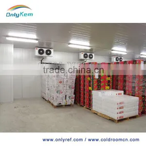 Supermarket Cold/frozen Room for Meat/fish/vegetable thumbnail-5