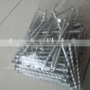 Galvanized Twisted Shank Nails Factory thumbnail-5