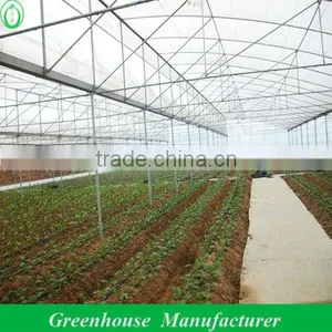 Agricultural Plastic Houses thumbnail-1