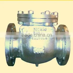 Check Valve thumbnail-1