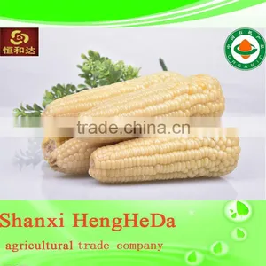 Products China Premium Quality Indian Corn thumbnail-1