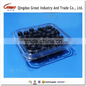 Small Square Clear Plastic Blueberry Container Clamshell thumbnail-1
