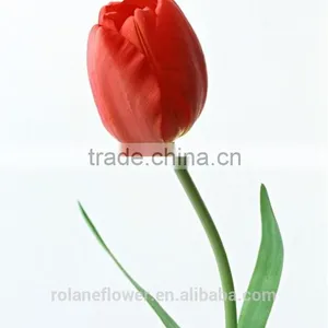 2016 Hot Sale Fresh Cut Colorful Tulip Flower From Yunnan thumbnail-1