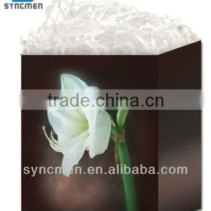 Natural Design Gift Bag, Paper Gift Bag thumbnail-2