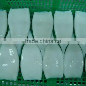 Frozen Squid Tube thumbnail-1