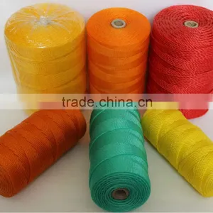 Colorful PE Twine thumbnail-1