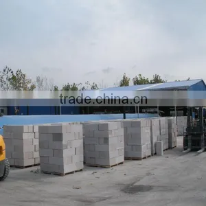 TOP Quality Fully Automatic Aac Autoclaved Aerated Light Weight Concrete Block Machine for Sales - TIANYUAN BRAND thumbnail-5