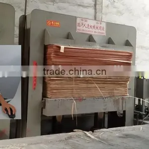 Lamination Hot Press Use Melamine Paper 4x8ft/6x9ft thumbnail-6