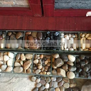 Natural Black Pebble Paver Stone in Low Price thumbnail-5