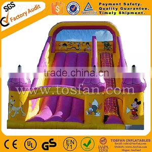 China Wholesaler Giant Inflatable Water Slide Prices A4032 thumbnail-5
