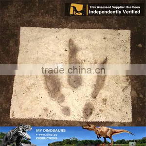 MY Dino-O11 Dinosaur Park Equipment Dinosaur Fossil Excavation Kit thumbnail-3