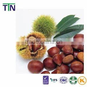 TTN Wholesale Chinese Nuts Chestnut Fresh Chestnuts Snacks thumbnail-1