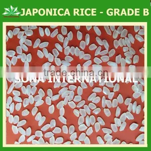 JAPONICA RICE - Sales4@ Vinarice.vn + 84 1268877137 thumbnail-1