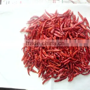 Whole Chilli thumbnail-3