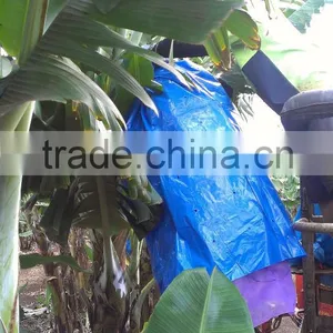 Banana Bunch Cover Bags thumbnail-5
