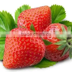 Sell 100% Natural Dried Strawberry Extract Powder 5:1&10:1 With High Quality thumbnail-1