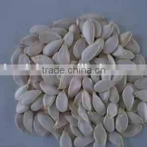 Snow White Pumpkin Seeds in Shell thumbnail-2