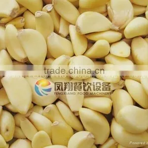 Large Type Peeling Machine Series / Peeler Machine for Small Onion / FX-128 -2 Garlic Peeling Machine With CE Approved thumbnail-4