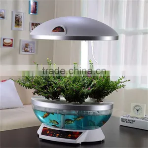 New Fish Tank thumbnail-6