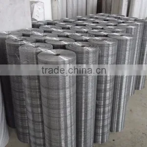 Electro-galvanized 1/2 Inch Mesh Welded Wire Mesh for Construction thumbnail-3