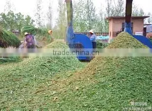 Hot Selling Fertilizer thumbnail-2