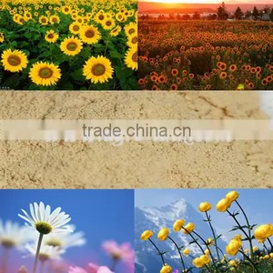 China Local Green Fertilizer Amino Acid Antibiotic Powder in High Quality and Reasonable Price thumbnail-5