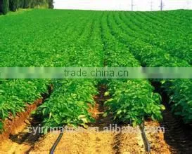 Good Quality 16mm Drip Irrigation Pipe for Garden/farm thumbnail-3