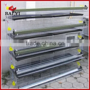 Quail Egg Cage For Quail Egg Production thumbnail-6