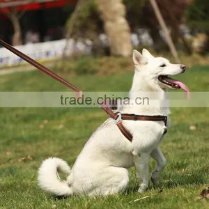 Durable Wholesale Pet Dog Leash and Harness thumbnail-2