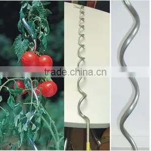 Tomato Spiral Planter thumbnail-1