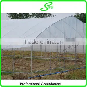 High Quality Film Blue Greenhouse for Sale thumbnail-3