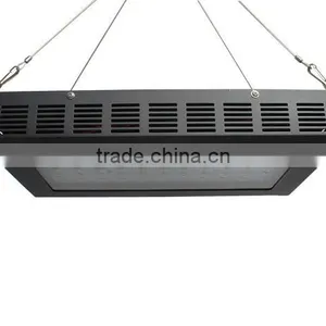 Designer Goods From Twilight Group China Cree Led Grow Light 2016 Looking for Exclusive Distributor thumbnail-4