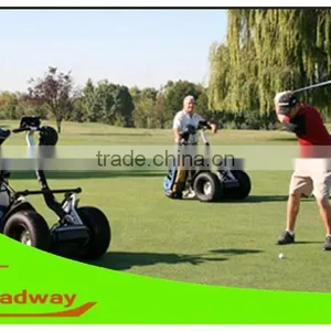 Leadway 350w Small Maxi Micro 50cc 2 Stroke Scooter 3-wheel Gas Scooters(w5l-106) thumbnail-1