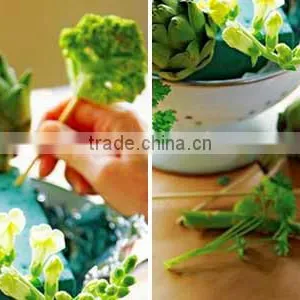 Competitive Wet Floral Foam for Your Flower Arrangement thumbnail-4