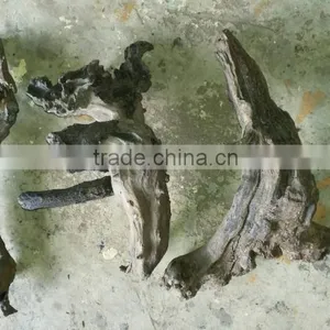 Natural Driftwoods for Aquarium Decoration thumbnail-4