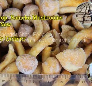 IQF Golden Frozen Nameko Mushrooms thumbnail-1