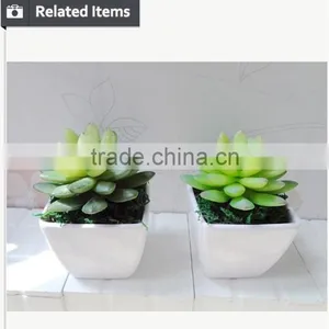 Artificial Succulent Home Decorative Tropical Plants Small Manufacturing Plant thumbnail-4