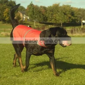 Wholesale Lovable Dog Clothes With Own Logo thumbnail-6