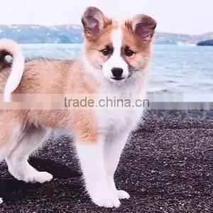 Custom Full Screen Printing Fleece Thermal Throw Carpet For Dogs thumbnail-1