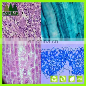 Educational Medical Microbiology Prepared Slides Botany Microscope Slides Microbiology Prepared Slides thumbnail-2