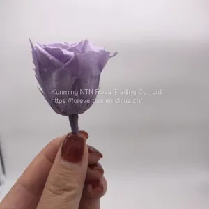 Wholesale3-4cm Elegant Real Touch Preserved Rose Flower thumbnail-1