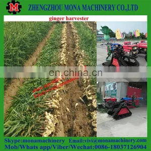 Ginger Digger/Ginger|Chinese Medicine|potato Digger Price thumbnail-1