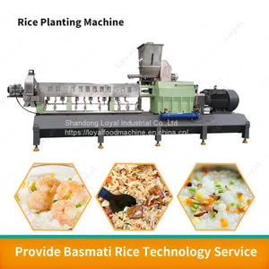 Nutrition Rice Machine Instant Rice Processing Line Artificial Instant Rice Food Machine thumbnail-2