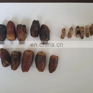 Factory Genyond Automatic Industrial Cherry Seed Removing Equipment Date Olive Fruit Pitting Machine thumbnail-5