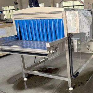 Automatic Sterilizer/tunnel-style Sterilizing Machine thumbnail-4